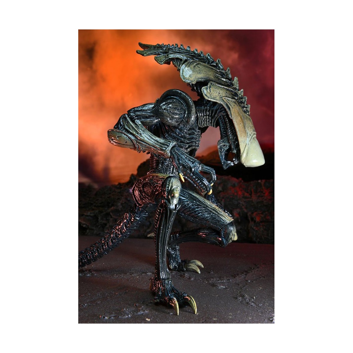 Neca Alien vs Predator - Alien Realistic Appearance - Set completo de 3 figuras
