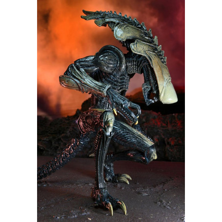 Neca Alien vs Predator - Alien Realistic Appearance - Set completo de 3 figuras