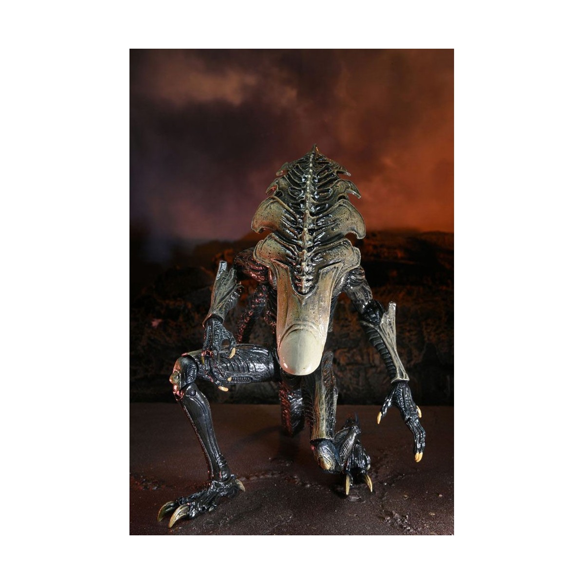 Neca Alien vs Predator - Alien Realistic Appearance - Set completo de 3 figuras