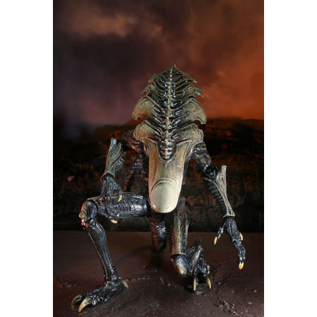 Neca Alien vs Predator - Alien Realistic Appearance - Set completo de 3 figuras