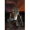 Neca Alien vs Predator - Alien Realistic Appearance - Set completo de 3 figuras