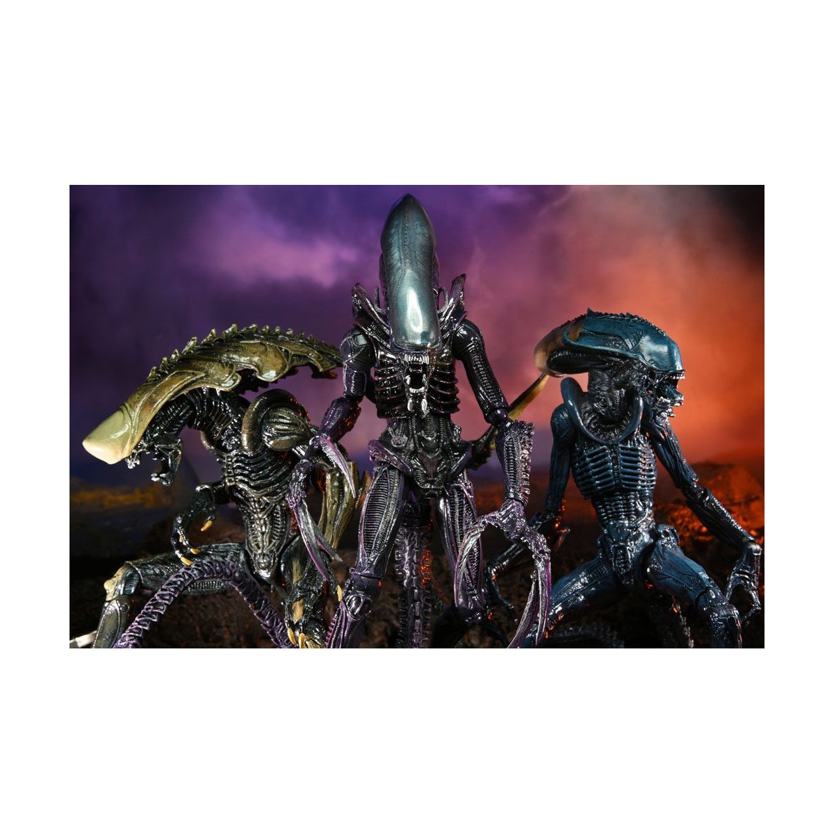 Neca Alien vs Predator - Alien Realistic Appearance - Set completo de 3 figuras