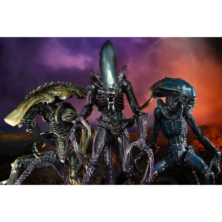 Neca Alien vs Predator - Alien Realistic Appearance - Set completo de 3 figuras
