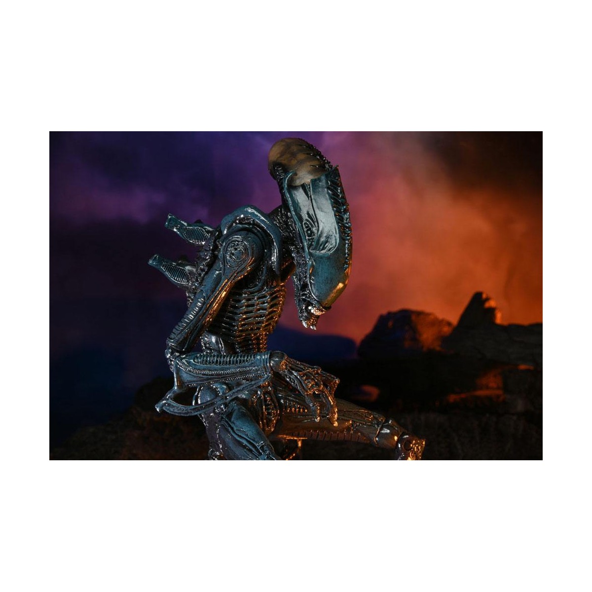 Neca Alien vs Predator - Alien Realistic Appearance - Set completo de 3 figuras