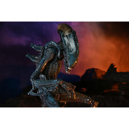 Neca Alien vs Predator - Alien Realistic Appearance - Set completo de 3 figuras