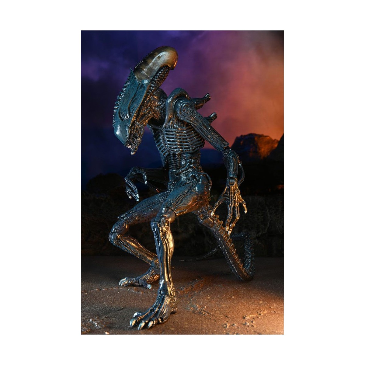 Neca Alien vs Predator - Alien Realistic Appearance - Set completo de 3 figuras