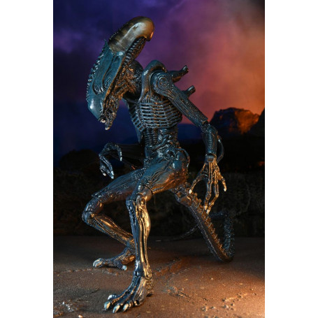 Neca Alien vs Predator - Alien Realistic Appearance - Set completo de 3 figuras
