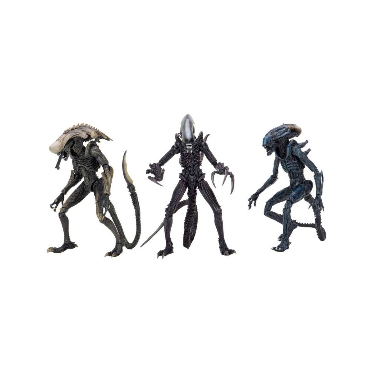 Neca Alien vs Predator - Alien Realistic Appearance - Set completo de 3 figuras
