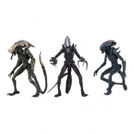 Neca Alien vs Predator - Alien Realistic Appearance - Set completo de 3 figuras