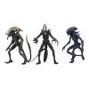 Neca Alien vs Predator - Alien Realistic Appearance - Set completo de 3 figuras