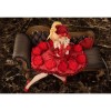 Banpresto - Fate/Extra - Idol Emperor/Nero