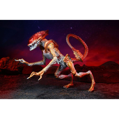 NECA ALIENS - Tributo Kenner Panther Alien