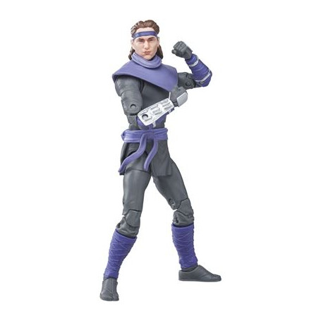 Hasbro - RAPHAEL Y SOLDADO DE PIE TOMMY 2-Pack - Colección Lightning Power Rangers