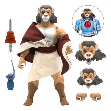 Super 7 - Thundercats - Pumm-Ra - Ola 4