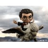 Iron Studios - Harry Potter Mini Co. PVC - Harry Potter y Buckbeak