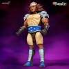 Super 7 - Thundercats - Grune El Destructor - Cosmocats - Reedition Wave2