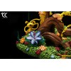 Cartoon Kingdom - El diorama de la familia Marsupilami 1/6 