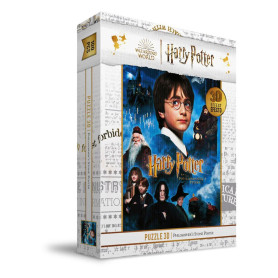 SD Toys - Puzzle HARRY POTTER efecto 3D - Póster de la Piedra Filosofal - 100 piezas