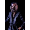 Neca - TMNT - Tortugas Ninja 2-pack - Shadow Warriors OROKU SAKI & HAMATO YOSHI - TMNT La Película