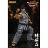 Storm Collectibles - Akira Yuki - Virtua Fighter 5 Ultimate Showdown 1/12