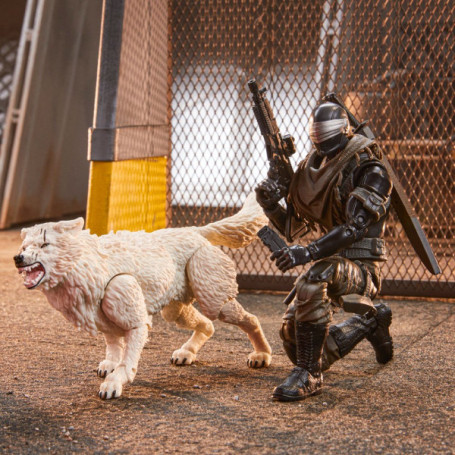 Hasbro G.I.JOE - Set de 2 figuras Snake eyes & Timber - Classified Series