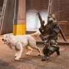 Hasbro G.I.JOE - Set de 2 figuras Snake eyes & Timber - Classified Series
