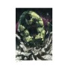 Impresión Marvel - Impresión artística Hulk 1 - 46 x 61 cm - sin marco
