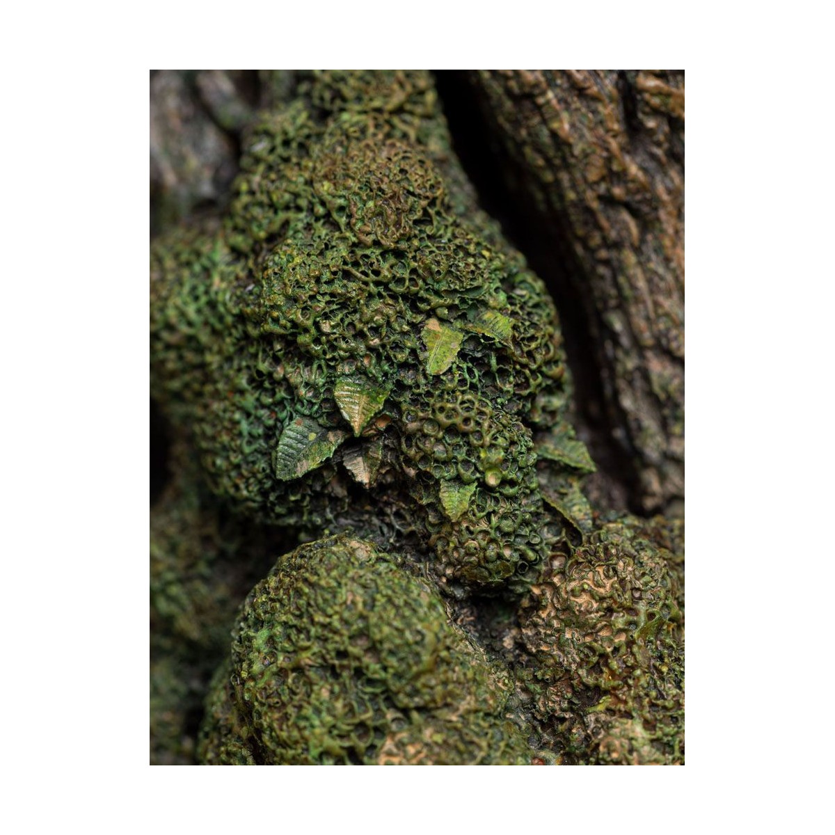 Weta - Estatua de Leaflock the Ent 1/6 - El Señor de los Anillos