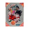 SD Toys - Póster de cristal de Bola de Dragón "Personajes