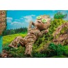 Hot Toys Movie Masterpiece - GROOT DELUXE - I'm Groot