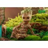 Hot Toys Movie Masterpiece - GROOT DELUXE - I'm Groot