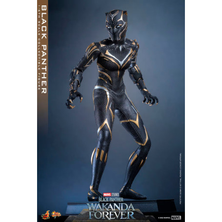 Hot Toys - Black Panther - Black Panther Wakanda Forever Movie Masterpiece 1/6