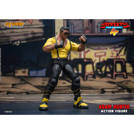 Coleccionables Storm - Adam Hunter - Streets of Rage 4