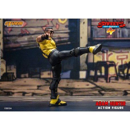 Coleccionables Storm - Adam Hunter - Streets of Rage 4