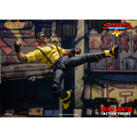 Coleccionables Storm - Adam Hunter - Streets of Rage 4