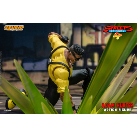 Coleccionables Storm - Adam Hunter - Streets of Rage 4