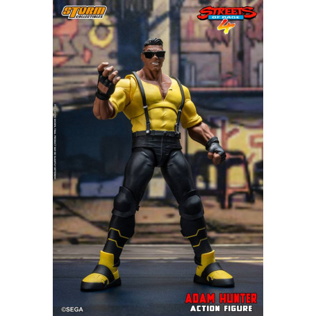 Coleccionables Storm - Adam Hunter - Streets of Rage 4
