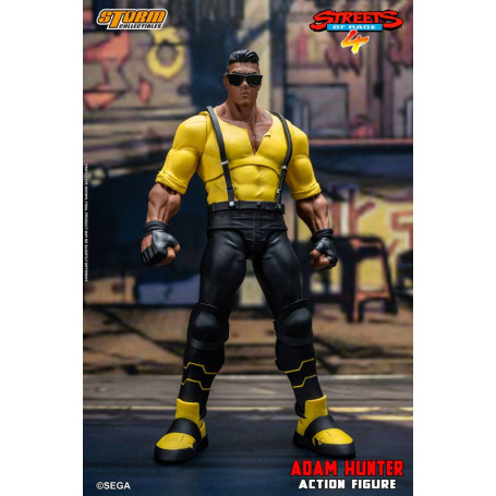 Coleccionables Storm - Adam Hunter - Streets of Rage 4