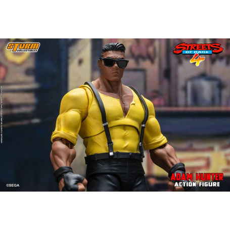 Coleccionables Storm - Adam Hunter - Streets of Rage 4