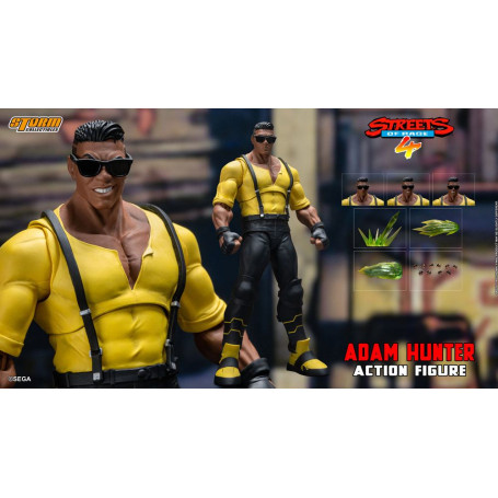 Coleccionables Storm - Adam Hunter - Streets of Rage 4