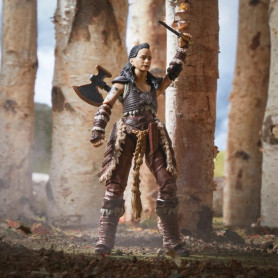 Hasbro - HOLGA - Dungeons & Dragons Honor Among Thieves - Archivo Dorado