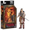 Hasbro - HOLGA - Dungeons & Dragons Honor Among Thieves - Archivo Dorado