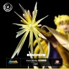 Tsume Ikigai - VIRGO SHAKA - Saint Seiya - Los Caballeros del Zodiaco Sacudida de la Virgen