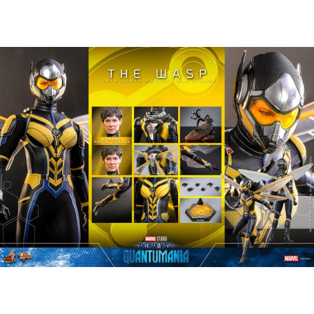 Hot Toys Movie Masterpiece 1/6 La Avispa - AntMan & The Wasp: Quantumania
