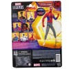 Leyendas Marvel - Peter B. Parker - A través del Spider-Verso Primera Parte