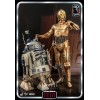 Hot Toys Star Wars - C-3PO MMS 1/6 - El Retorno del Jedi 40 Aniversario
