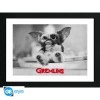 ABYstyle - GREMLINS - Lámina enmarcada "Gizmo" (30x40)