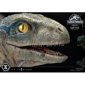Prime 1 Studio - Jurassic World: Fallen Kingdom - Estatua Baby Blue 1/2 Escala