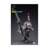 JoyToy Marines Espaciales - Caballeros Grises - Terminator Jaric Thule 1/18 - Warhammer 40K