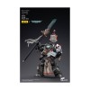 JoyToy Marines Espaciales - Caballeros Grises - Terminator Jaric Thule 1/18 - Warhammer 40K